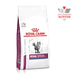Alimento Royal Canin Gato Renal Special  - Miniatura 1