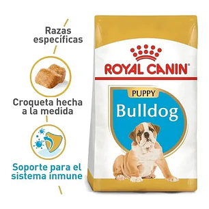 Alimento Royal Canin Bulldog Puppy 