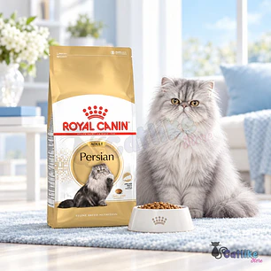 Alimento Royal Canin Persa Gato Adulto