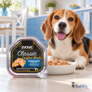 Alimento Húmedo Evolve Cat Classic Bandeja 99gr