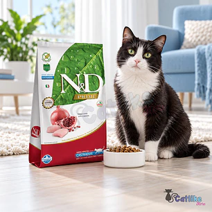 N&D Prime Cat Adult Castrado Pollo 1.5kg