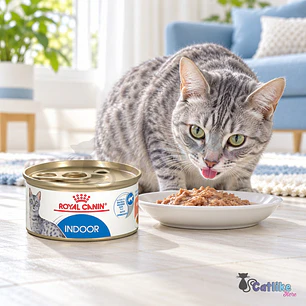 Alimento Royal Canin FHN Indoor Gravy Lata 85g