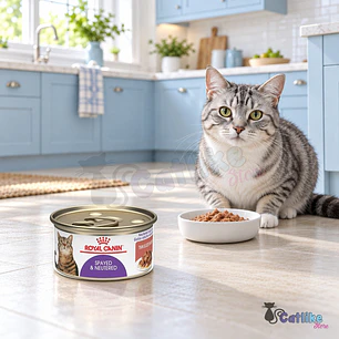 Alimento FHN Spayed Neuter Lata 0,08kg