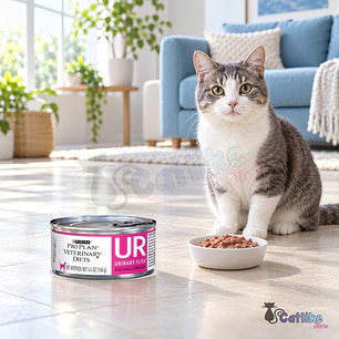 Alimento Pro Plan UR Urinary St/Ox Lata 5.5 Oz
