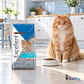 Purina Excellent Urinary Gato Adulto - Miniatura 2