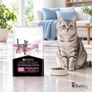 Alimento Purina Pro Plan UR Urinary St/Ox 1.5kg