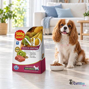 Alimento N&D tropical Dog Adulto Mini Sabor Cerdo