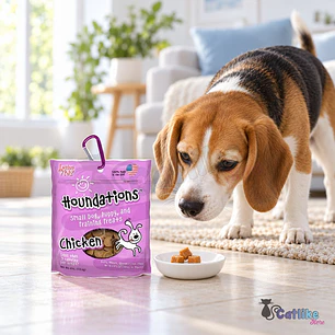 Snack Houndations Dog Snack 4Oz