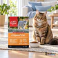 Alimento Orijen Original Cat - Miniatura 2