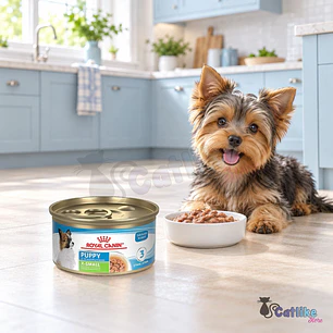 Royal Canin Puppy X Small 2 A 10 Meses Shn | Perro X 85g