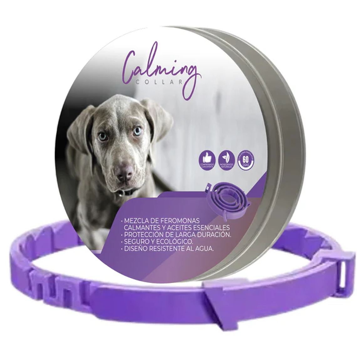 Calming Collar Perro - VIOLETA 1