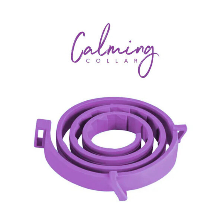 Calming Collar Perro - VIOLETA 2