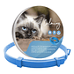 Calming Collar Gato - AZUL - Miniatura 1