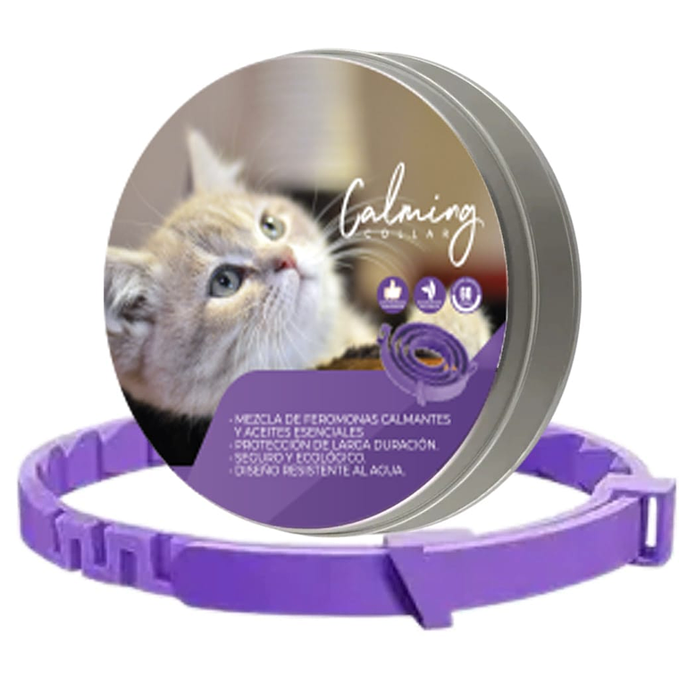 Calming Collar Gato - VIOLETA 1