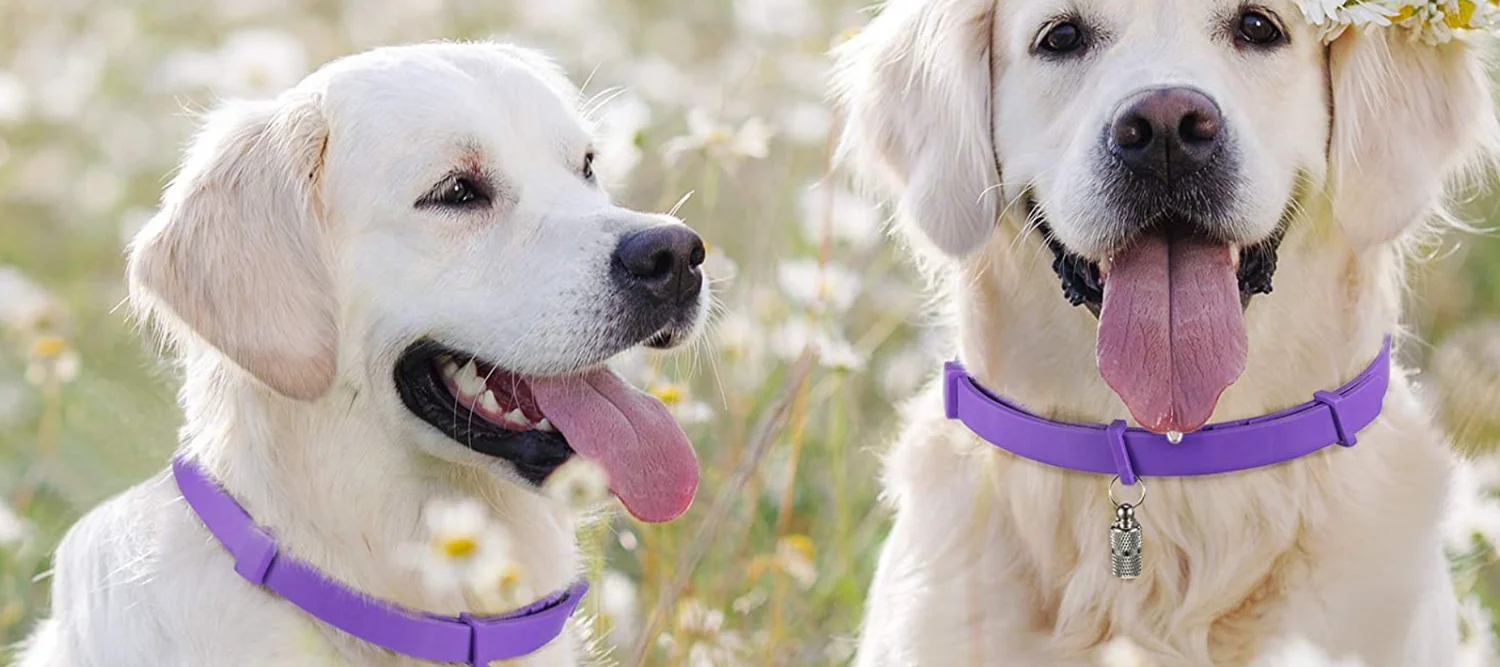 EFECTIVIDAD COMPROBADA