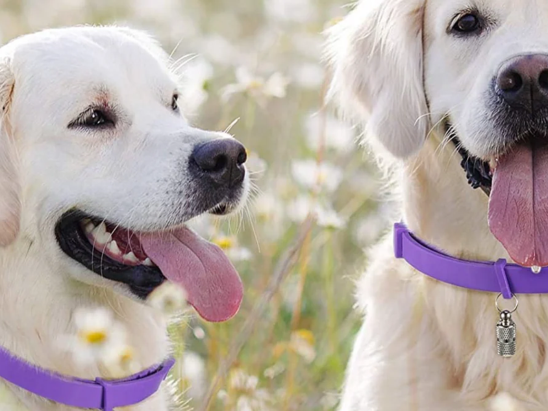 EFECTIVIDAD COMPROBADA