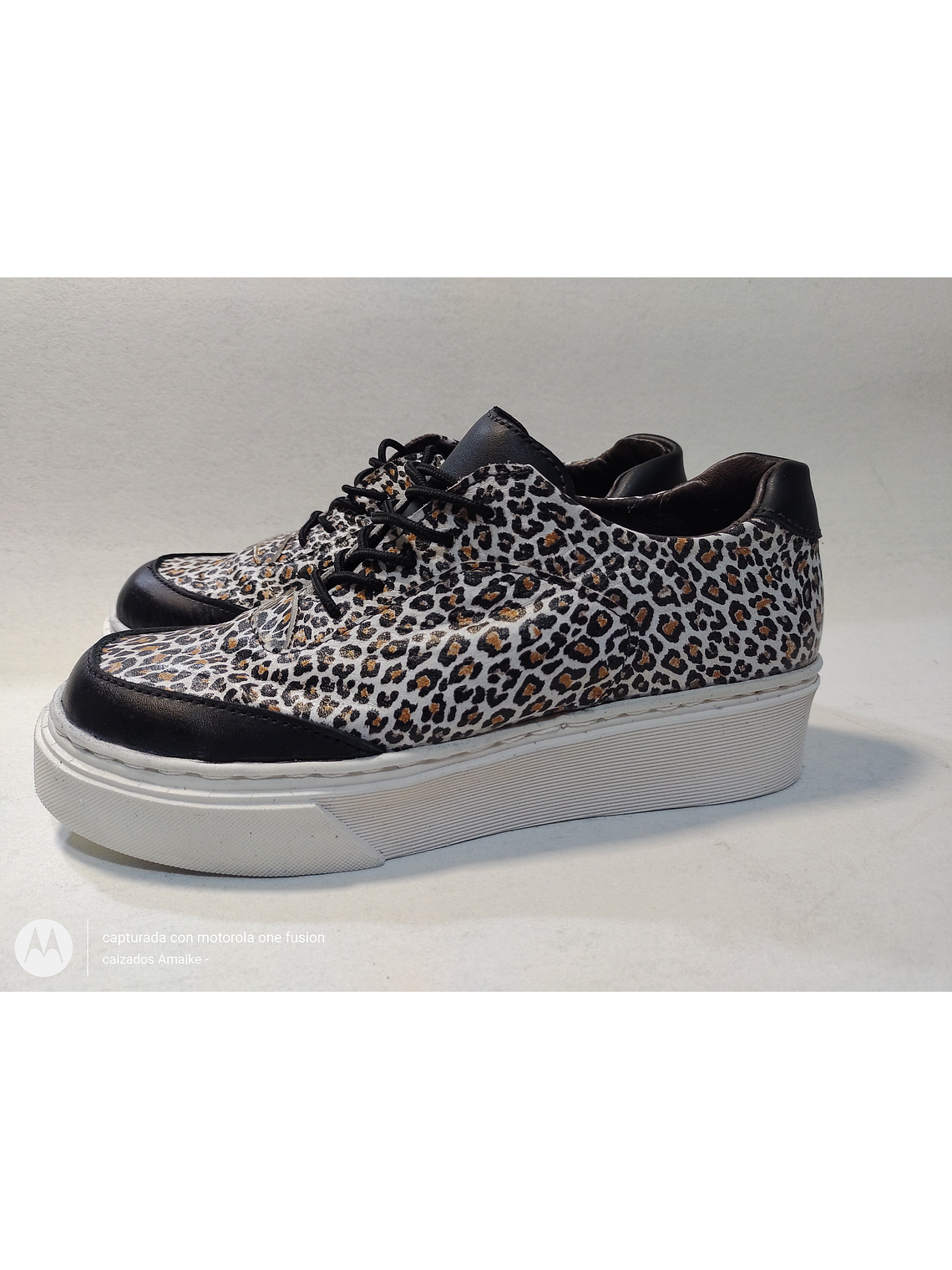 ZAPATILLA URBANA MODELO ANTONIA  1