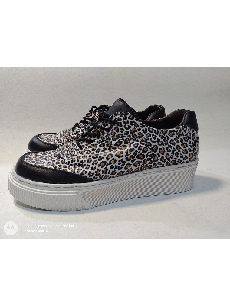 ZAPATILLA URBANA MODELO ANTONIA  1