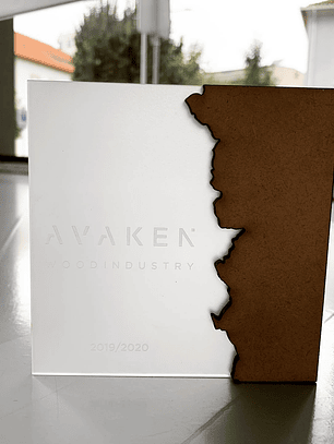 Troféu Personalizado com Design Exclusivo - Prémios e Reconhecimento de Qualidade