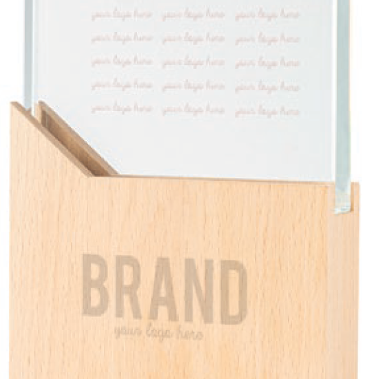 Troféu em madeira e vidro 1