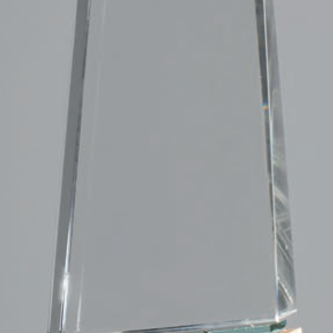 Troféu em madeira e vidro 1