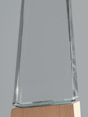 Troféu em madeira e vidro