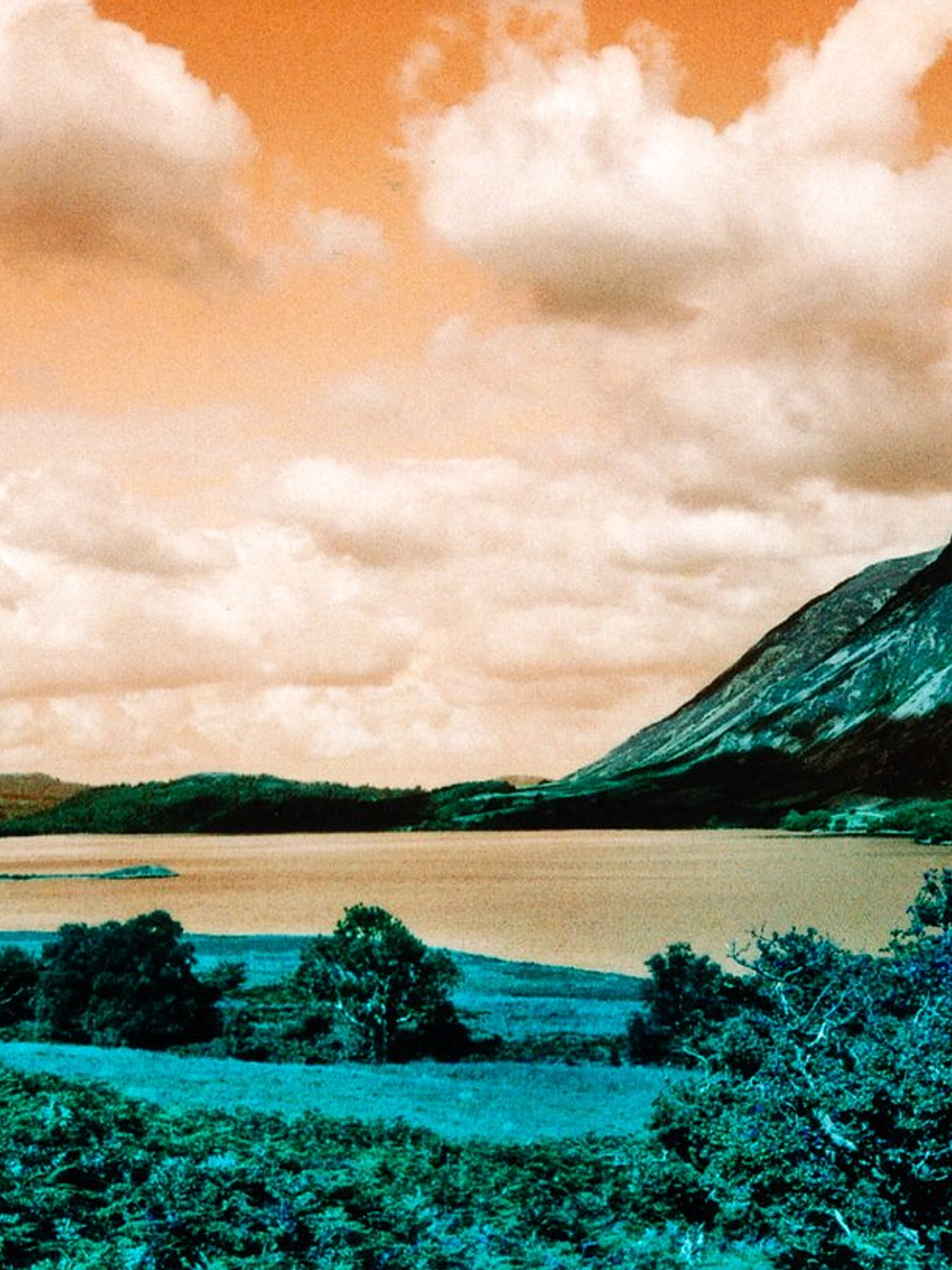 Lomo Turquoise 35mm 4