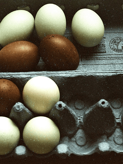 Lomo metropolis 35mm