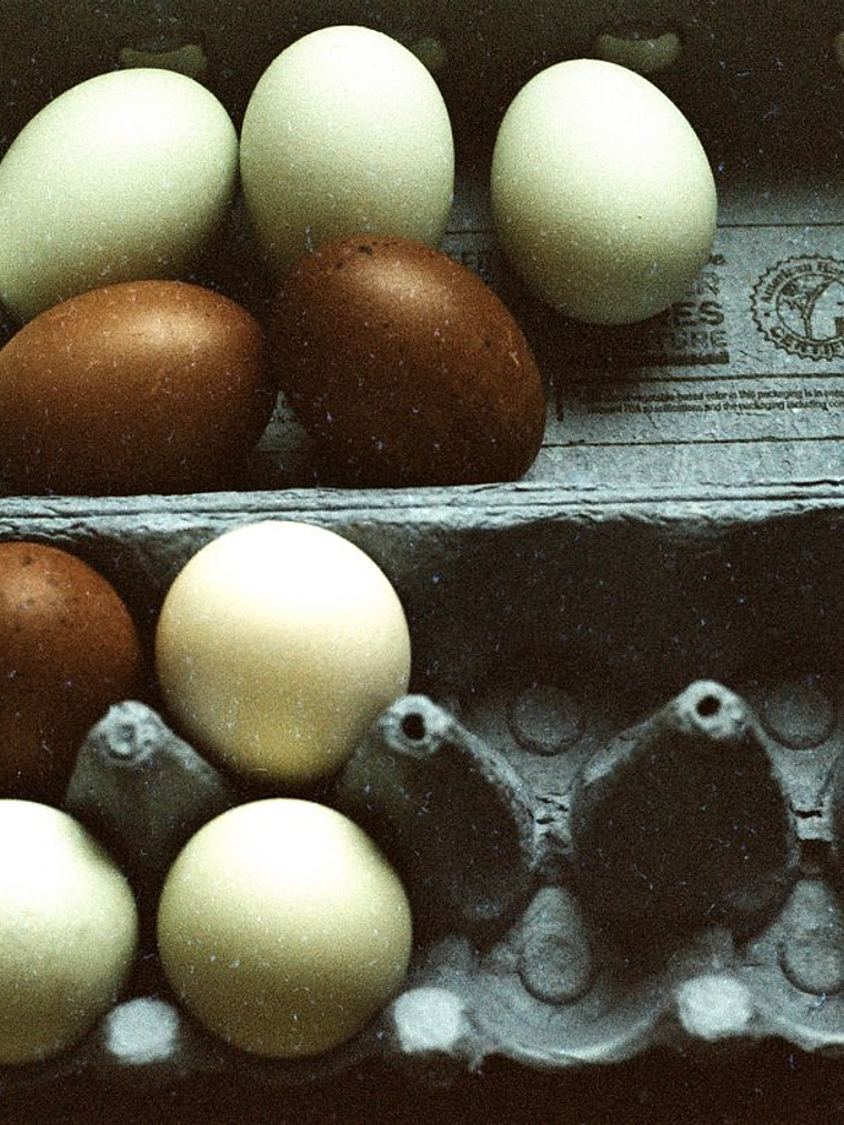 Lomo metropolis 35mm 2