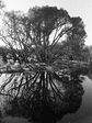 Ilford Delta 400 - Thumbnail 5