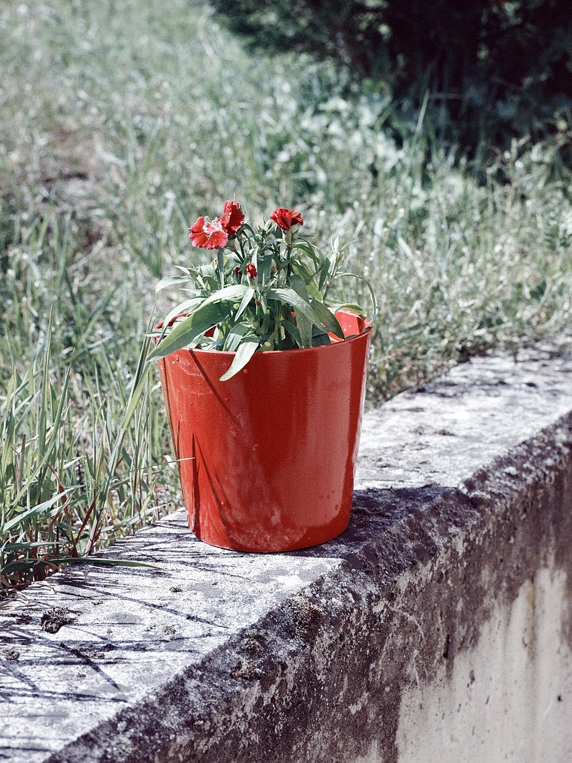 Lomo metropolis 120 4