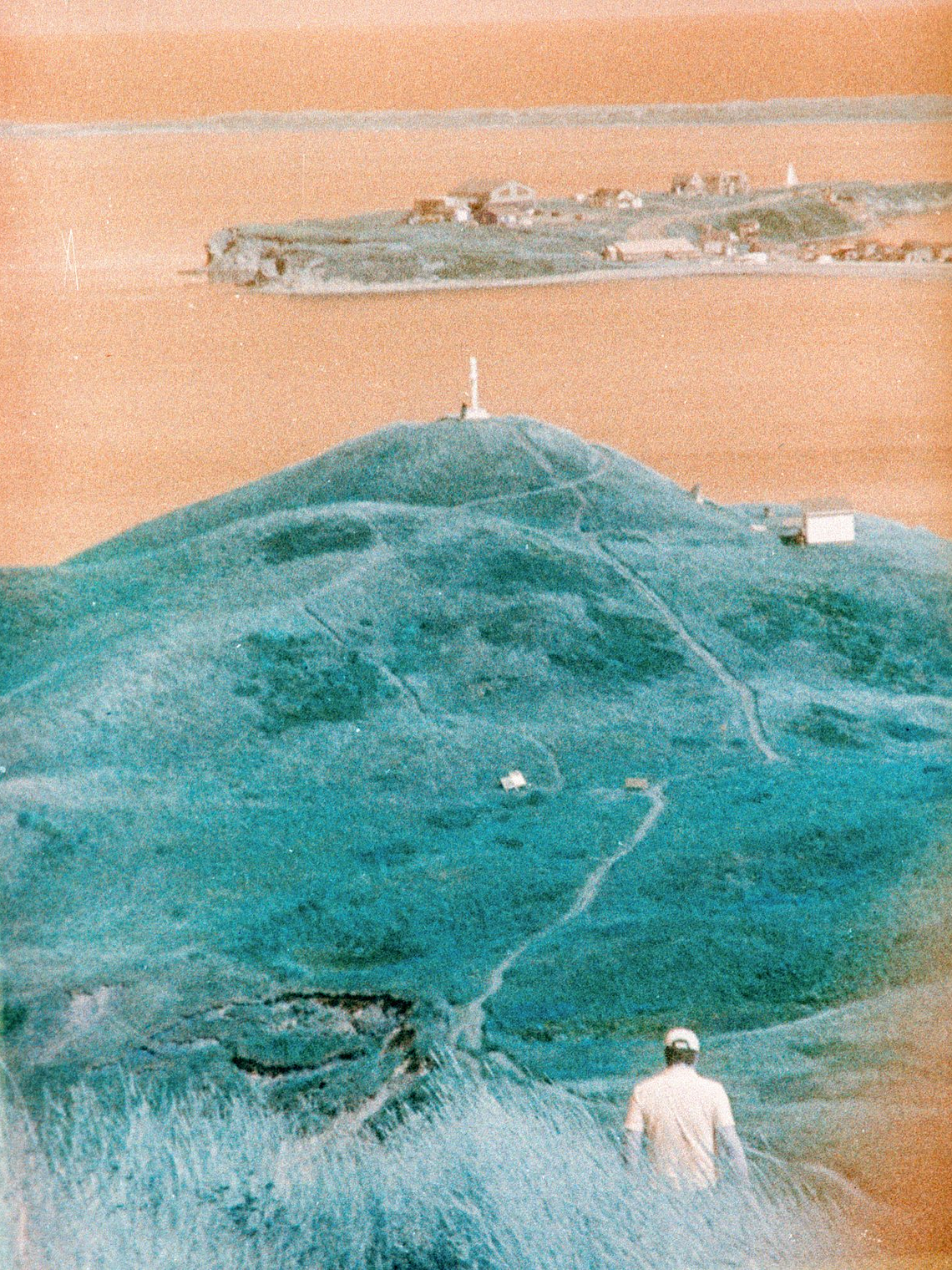 Lomo Turquoise 110mm 3