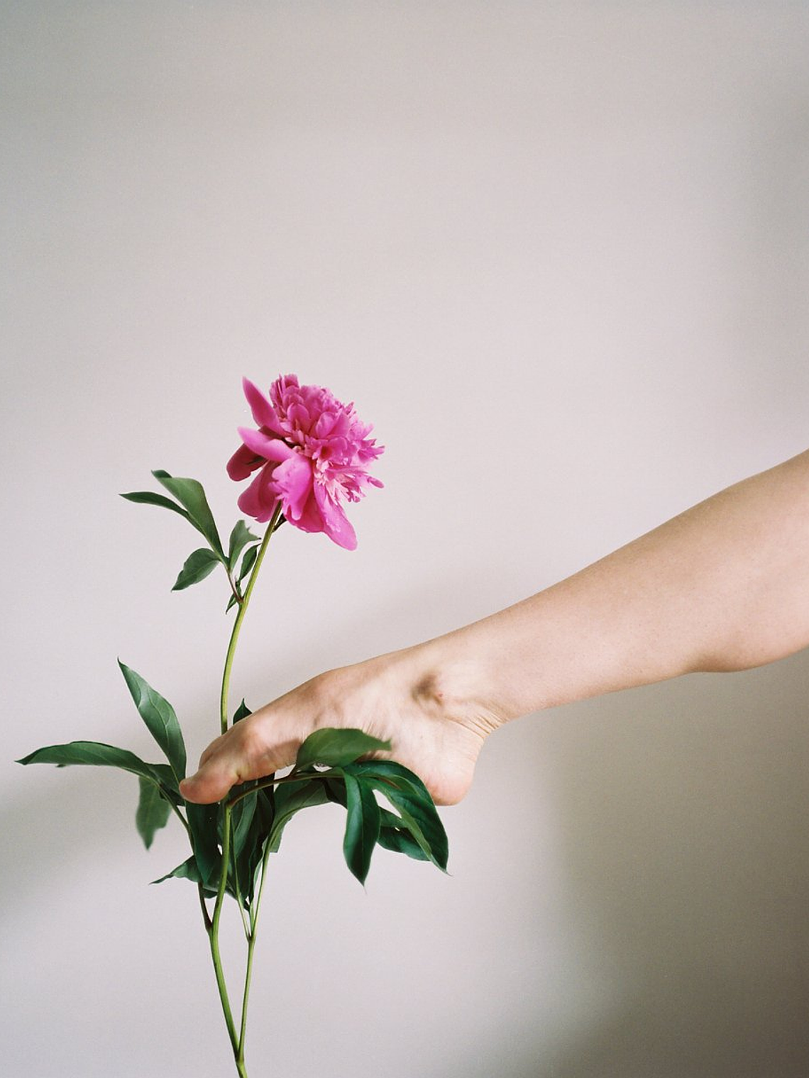 Kodak Portra400 120 2