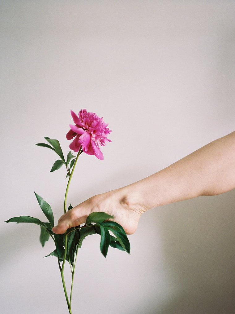 Kodak Portra400 120 2