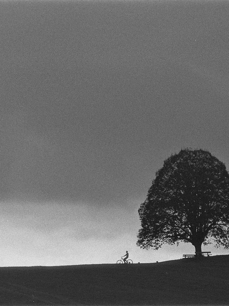 Ilford Delta 3200 120 3