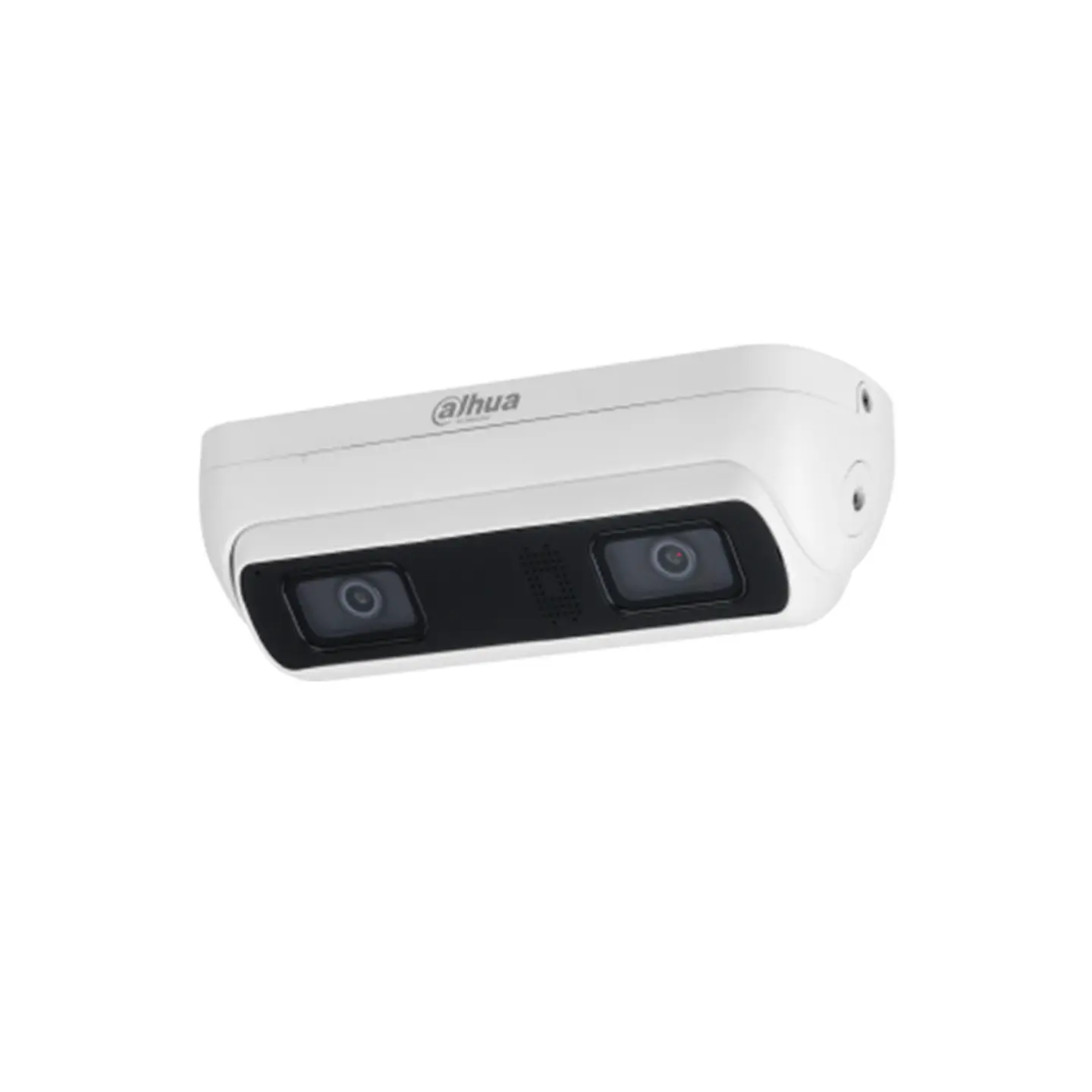 CAMARA IP DAHUA 4MP CONTEO PERSONAS WIZMIND 1