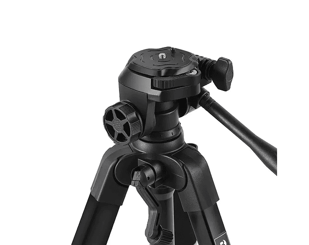 Trípode de Aluminio Benro T691 + Cabezal 