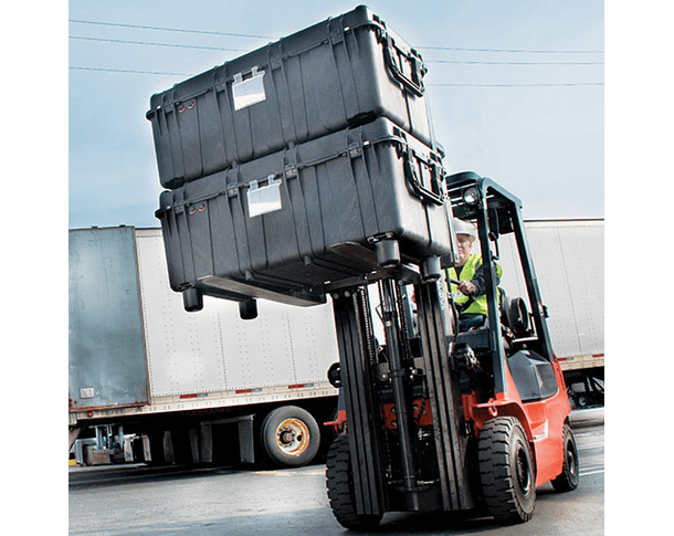 Pelican 0550 Protector Case