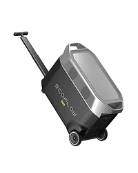 Estación de energía portátil EcoFlow Delta Pro