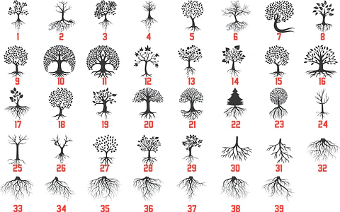 Vectores de árboles