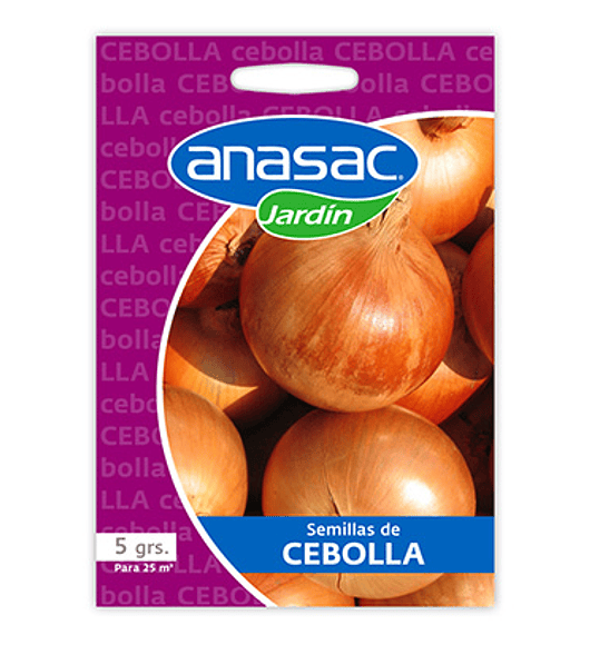 Semillas de cebolla