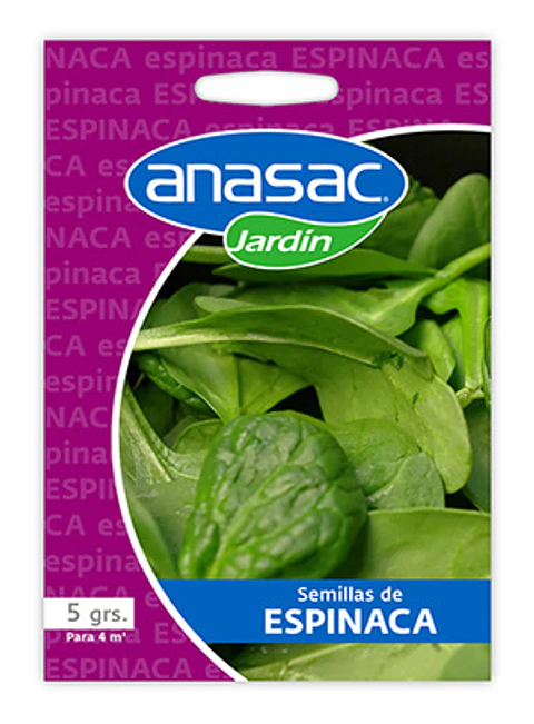 Semillas de espinaca