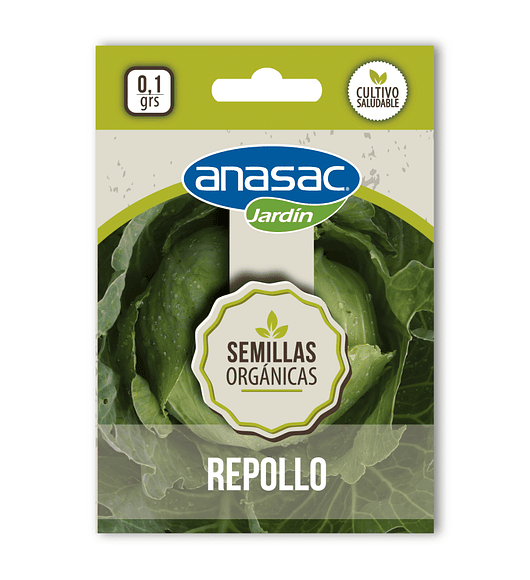 Semillas Orgánicas de Repollo