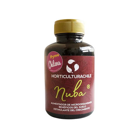 Nuba