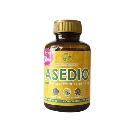 Asedio