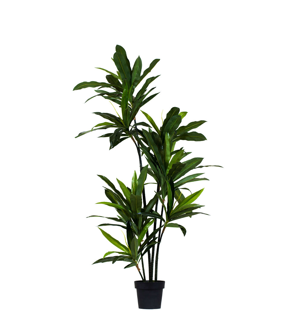Dracaena 180 cm - planta artificial