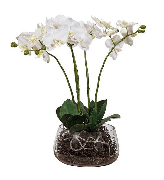 Orquídea en macetero de vidrio 55 cm - planta artificial