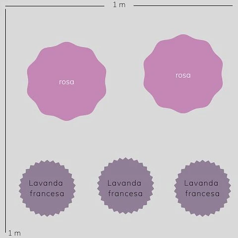 Mix Rosa y lavanda