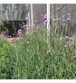 Mix Fav - Miniatura 6