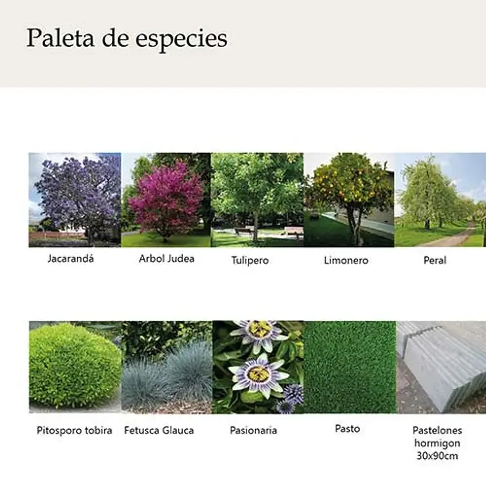 Paisajismo 3D - 100% online por metros cuadrados 7